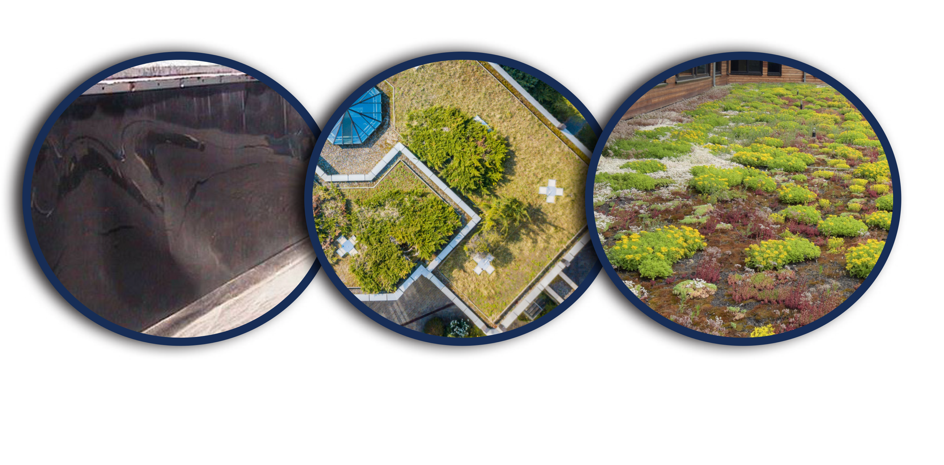 Green-Roof-Web-Images_03